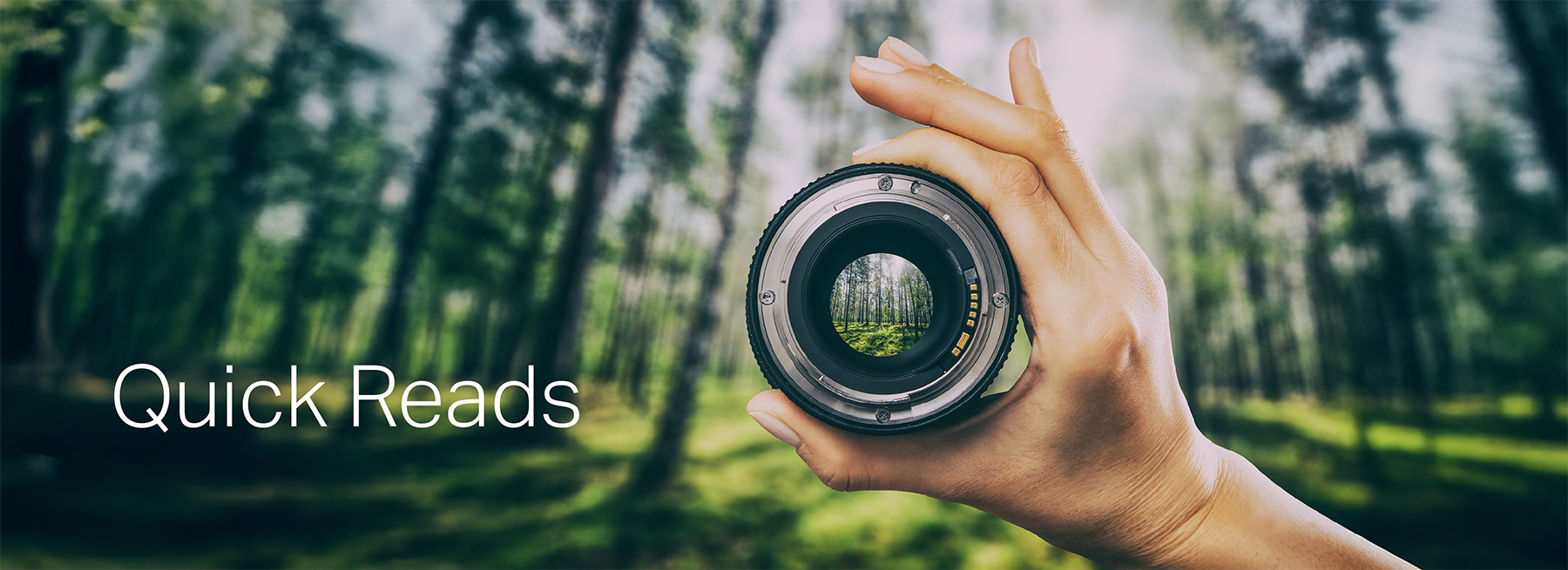 Can We See the Forest Yet? Trend Watch on Synthetic Data in Insurance 