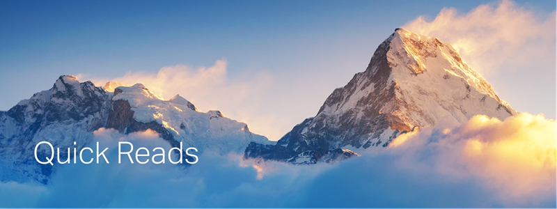 Industry Insights: Voices from Underwriting