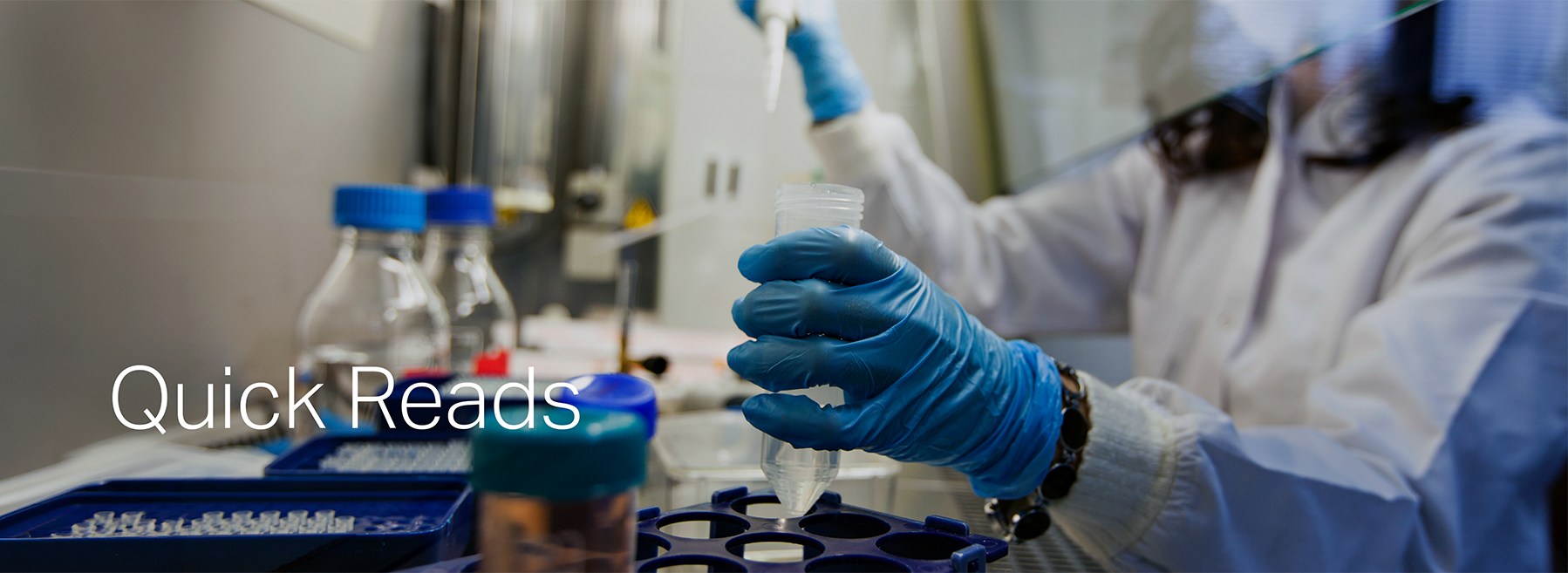 Ebola, Hantavirus: Are we Facing the Next Pandemic?